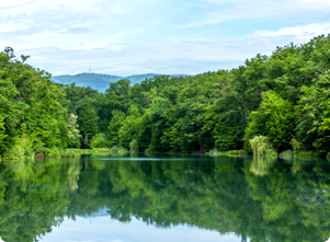 Lorem ipsum dolor sit amet, consectetur adipiscing elit, sed do